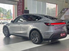 Tesla Model Y Edition - ფოტო 4