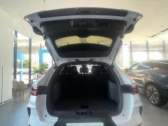 BYD PLUS EV Premium Version - ფოტო 14