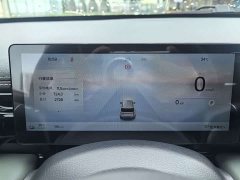 Baojun Plus 301kmFlagship Edition - ფოტო 18