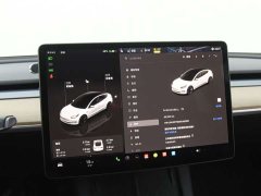Tesla Model 3 Edition - ფოტო 12
