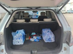 Baojun 460 Max Edition - ფოტო 4