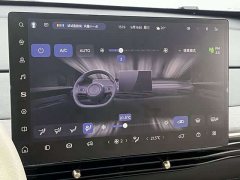 Baojun 460 Max Edition - ფოტო 12