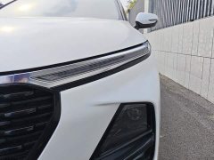 Baojun RS-3 1.5L Version - ფოტო 5