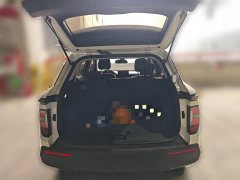 Baojun RS-3 1.5L CVT Version - ფოტო 15