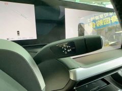 Xpeng P7 480N - ფოტო 19