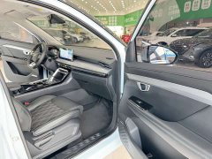 Wuling 2.0L DHT - ფოტო 10