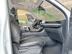 Wuling 2.0L DHT - ფოტო 12