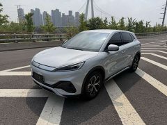 BYD PLUS Edition 430KM Version - ფოტო 1
