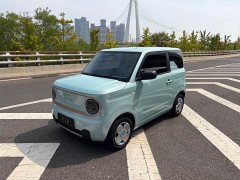 GAC mini 200km - ფოტო 1