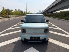 GAC mini 200km - ფოტო 2