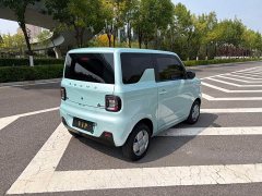 GAC mini 200km - ფოტო 9
