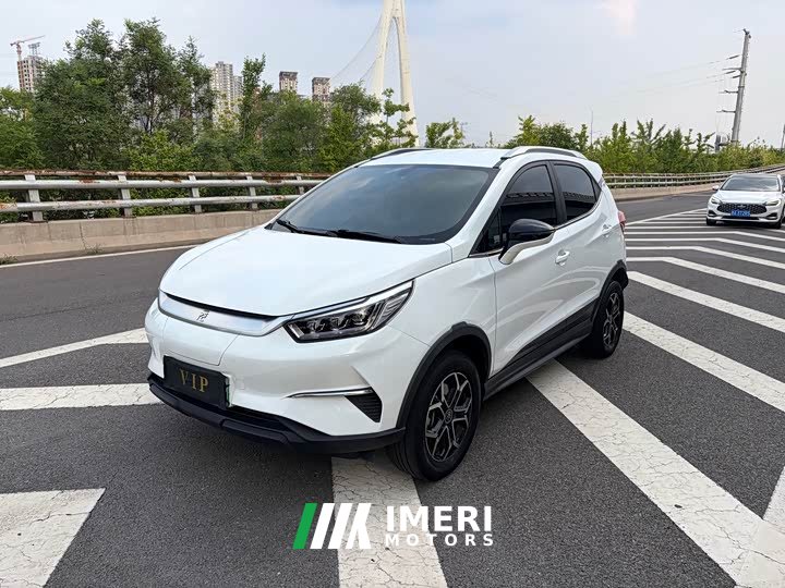 BYD Pro Edition