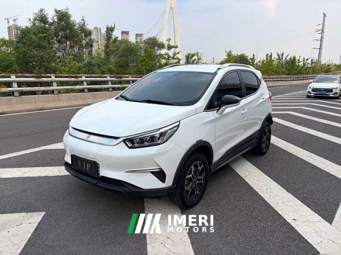 2022 BYD Pro Edition - ავტომობილი ჩინეთიდან