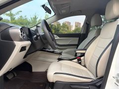 BYD Pro Edition - ფოტო 4