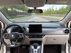 BYD Pro Edition - ფოტო 6