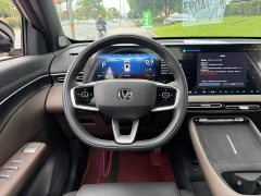 Changan CS55PLUS 1.5T Premium Version - ფოტო 14