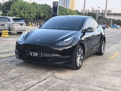 Tesla Model Y Long Range Edition 3D7 - ფოტო 1