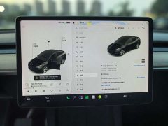 Tesla Model Y Long Range Edition 3D7 - ფოტო 11