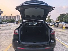 Tesla Model Y Long Range Edition 3D7 - ფოტო 13