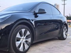 Tesla Model Y Long Range Edition 3D7 - ფოტო 18