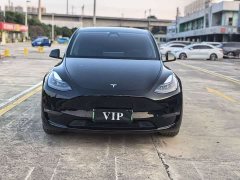 Tesla Model Y Long Range Edition 3D7 - ფოტო 2