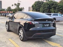 Tesla Model Y Long Range Edition 3D7 - ფოტო 20