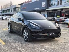 Tesla Model Y Long Range Edition 3D7 - ფოტო 3