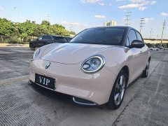 Ora 400kmStandard Range Edition - ფოტო 1