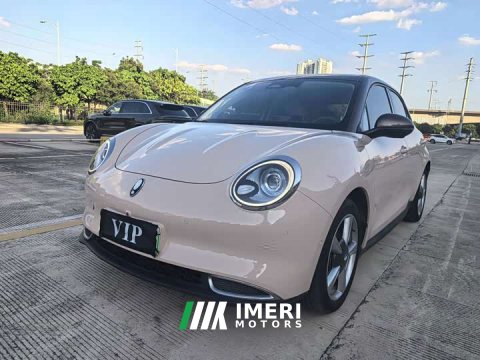 2021 Ora 400kmStandard Range Edition - ავტომობილი ჩინეთიდან