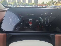 Ora 400kmStandard Range Edition - ფოტო 14