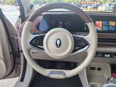 Ora 400kmStandard Range Edition - ფოტო 15