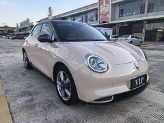 Ora 400kmStandard Range Edition - ფოტო 3