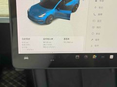 Tesla Model 3 Standard Range Edition 3D1 - ფოტო 8