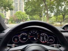 Porsche Panamera Edition 2.9T - ფოტო 10