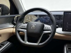 BYD Pro Smart Drive Edition DM-i 75KM Version - ფოტო 14