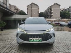 BYD L DM-i Smart Drive Edition 160km Version - ფოტო 2