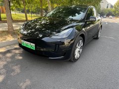 Tesla Model Y Edition - ფოტო 1