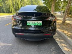 Tesla Model Y Edition - ფოტო 4