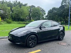Tesla Model Y Edition - ფოტო 1