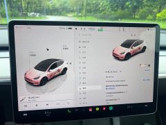 Tesla Model Y Edition - ფოტო 14