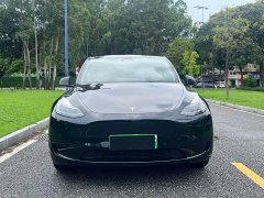 Tesla Model Y Edition - ფოტო 2