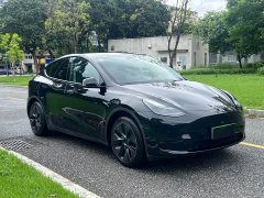 Tesla Model Y Edition - ფოტო 3