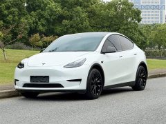 Tesla Model Y Edition - ფოტო 1
