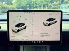Tesla Model Y Edition - ფოტო 14