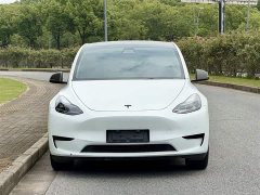 Tesla Model Y Edition - ფოტო 2