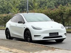 Tesla Model Y Edition - ფოტო 3