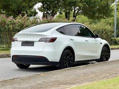 Tesla Model Y Edition - ფოტო 4