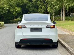 Tesla Model Y Edition - ფოტო 5