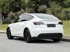 Tesla Model Y Edition - ფოტო 6