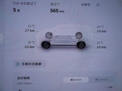 Nio ES9 102kWh Luxury Edition - ფოტო 15